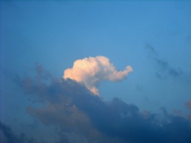 elephant-in-cloud